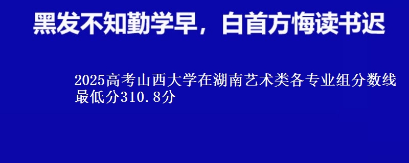 2025高考山西大學(xué)在湖南藝術(shù)類各專業(yè)組分?jǐn)?shù)線 最低分310.8分