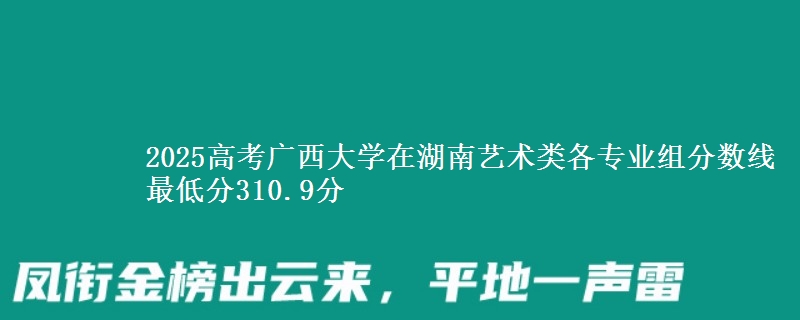 2025高考廣西大學(xué)在湖南藝術(shù)類各專業(yè)組分?jǐn)?shù)線 最低分310.9分