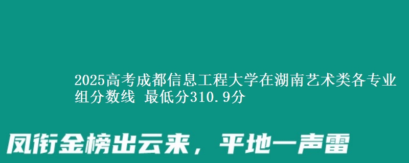 2025高考成都信息工程大學(xué)在湖南藝術(shù)類各專業(yè)組分?jǐn)?shù)線 最低分310.9分