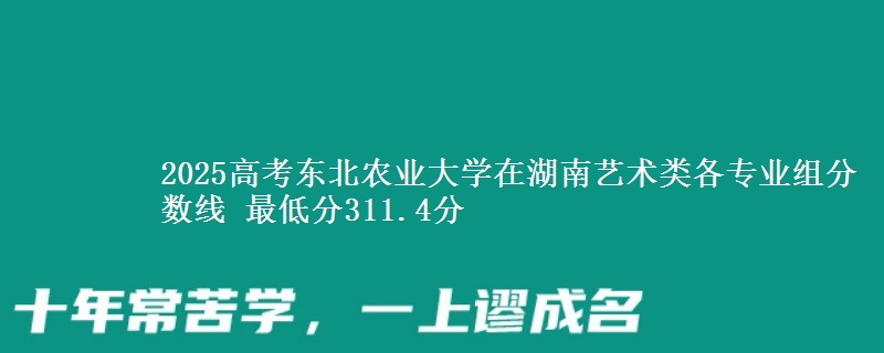 2025高考東北農(nóng)業(yè)大學(xué)在湖南藝術(shù)類各專業(yè)組分數(shù)線 最低分311.4分