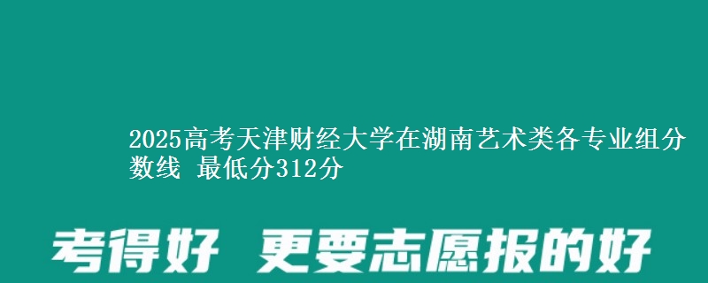 2025高考天津財經(jīng)大學(xué)在湖南藝術(shù)類各專業(yè)組分數(shù)線 最低分312分