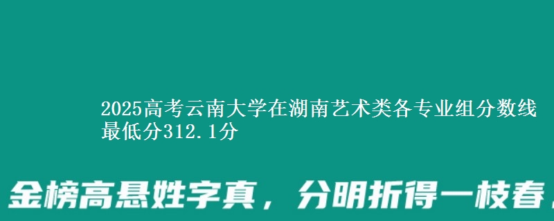 2025高考云南大學(xué)在湖南藝術(shù)類各專業(yè)組分數(shù)線 最低分312.1分