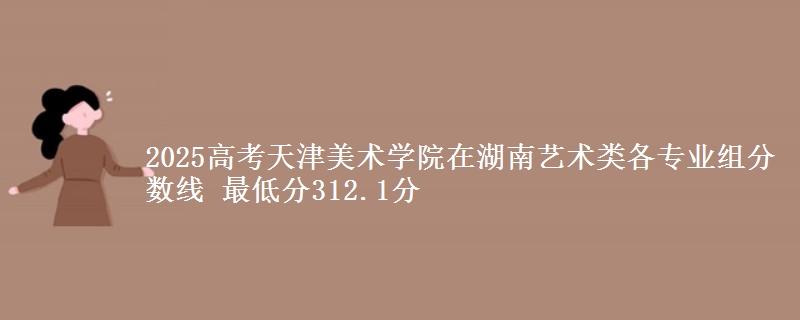 2025高考天津美術(shù)學(xué)院在湖南藝術(shù)類各專業(yè)組分數(shù)線 最低分312.1分