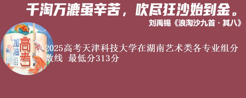 2025高考天津科技大學(xué)在湖南藝術(shù)類各專業(yè)組分?jǐn)?shù)線 最低分313分