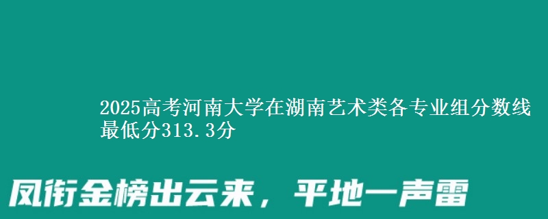 2025高考河南大學(xué)在湖南藝術(shù)類各專業(yè)組分?jǐn)?shù)線 最低分313.3分