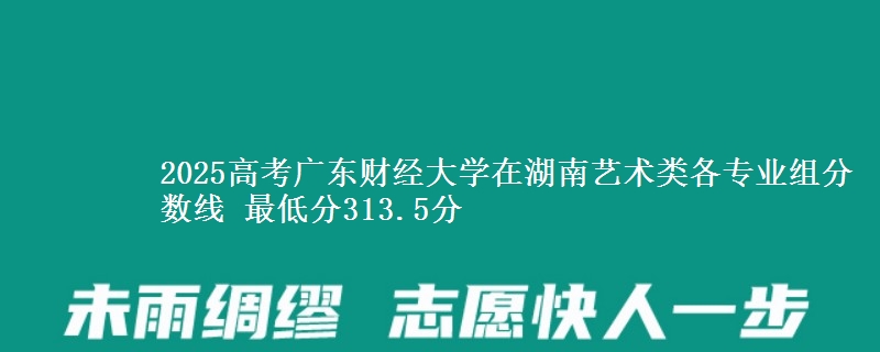 2025高考廣東財(cái)經(jīng)大學(xué)在湖南藝術(shù)類各專業(yè)組分?jǐn)?shù)線 最低分313.5分