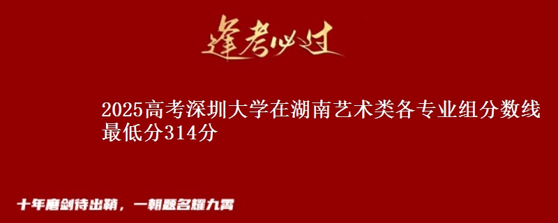 2025高考深圳大學(xué)在湖南藝術(shù)類各專業(yè)組分?jǐn)?shù)線 最低分314分