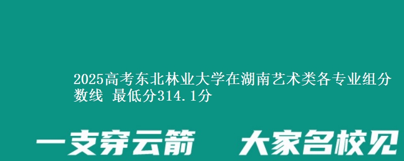 2025高考東北林業(yè)大學(xué)在湖南藝術(shù)類各專業(yè)組分?jǐn)?shù)線 最低分314.1分