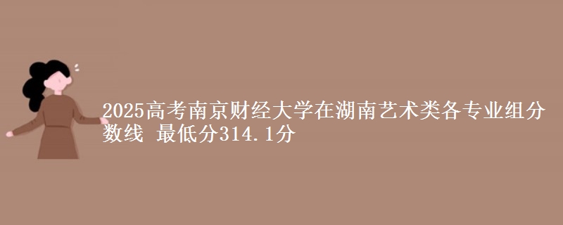 2025高考南京財(cái)經(jīng)大學(xué)在湖南藝術(shù)類各專業(yè)組分?jǐn)?shù)線 最低分314.1分