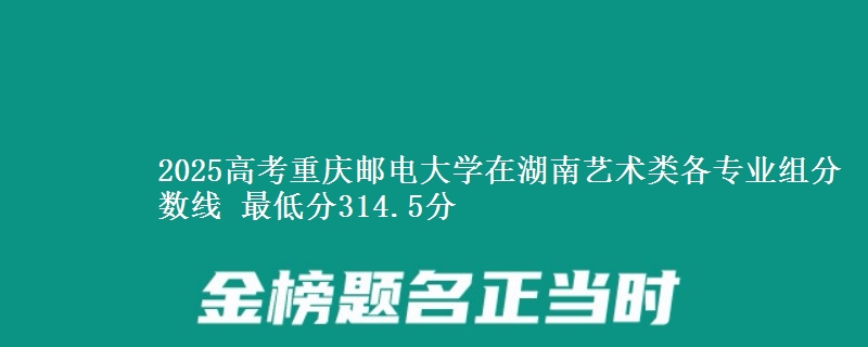 2025高考重慶郵電大學(xué)在湖南藝術(shù)類各專業(yè)組分?jǐn)?shù)線 最低分314.5分