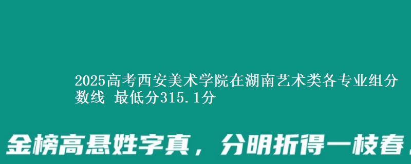 2025高考西安美術(shù)學(xué)院在湖南藝術(shù)類各專業(yè)組分數(shù)線 最低分315.1分