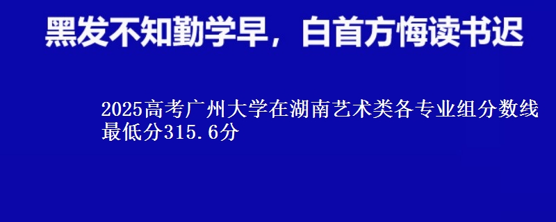 2025高考廣州大學(xué)在湖南藝術(shù)類各專業(yè)組分數(shù)線 最低分315.6分