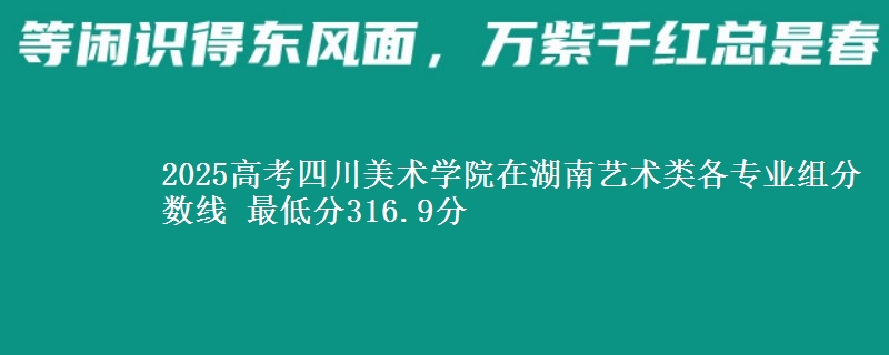 2025高考四川美術(shù)學(xué)院在湖南藝術(shù)類各專業(yè)組分數(shù)線 最低分316.9分