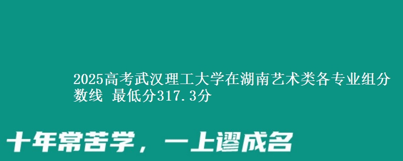 2025高考武漢理工大學(xué)在湖南藝術(shù)類各專業(yè)組分數(shù)線 最低分317.3分