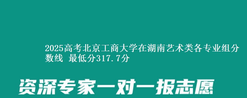 2025高考北京工商大學(xué)在湖南藝術(shù)類各專業(yè)組分數(shù)線 最低分317.7分