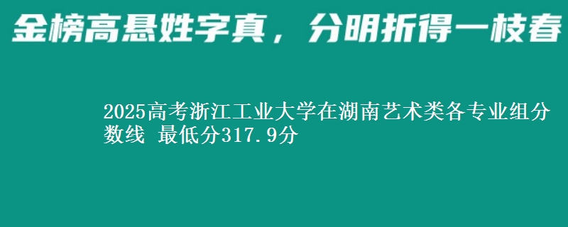 2025高考浙江工業(yè)大學(xué)在湖南藝術(shù)類各專業(yè)組分數(shù)線 最低分317.9分