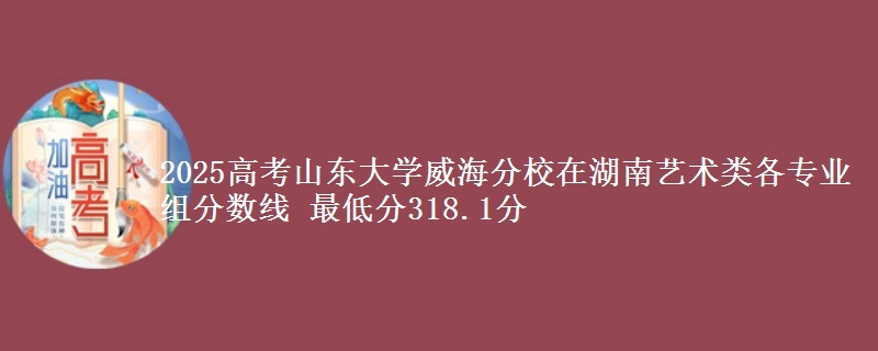 2025高考山東大學(xué)威海分校在湖南藝術(shù)類各專業(yè)組分?jǐn)?shù)線 最低分318.1分