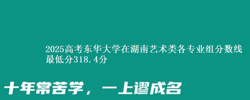 2025高考東華大學(xué)在湖南藝術(shù)類各專業(yè)組分?jǐn)?shù)線 最低分318.4分