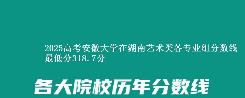 2025高考安徽大學(xué)在湖南藝術(shù)類各專業(yè)組分?jǐn)?shù)線 最低分318.7分
