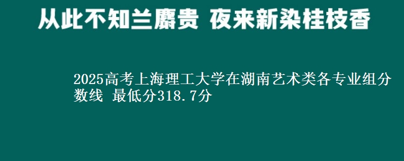 2025高考上海理工大學(xué)在湖南藝術(shù)類各專業(yè)組分?jǐn)?shù)線 最低分318.7分