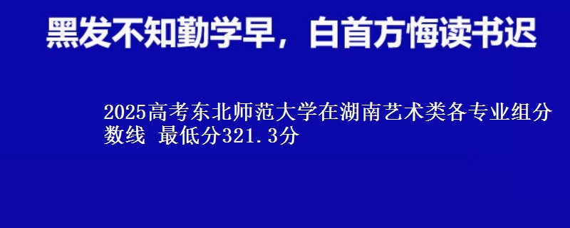 2025高考東北師范大學(xué)在湖南藝術(shù)類各專業(yè)組分?jǐn)?shù)線 最低分321.3分