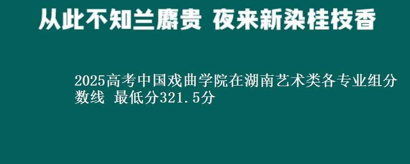 2025高考中國戲曲學(xué)院在湖南藝術(shù)類各專業(yè)組分?jǐn)?shù)線 最低分321.5分