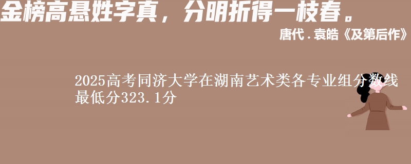 2025高考同濟(jì)大學(xué)在湖南藝術(shù)類各專業(yè)組分?jǐn)?shù)線 最低分323.1分