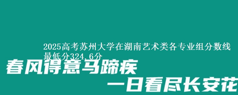 2025高考蘇州大學(xué)在湖南藝術(shù)類各專業(yè)組分?jǐn)?shù)線 最低分324.6分