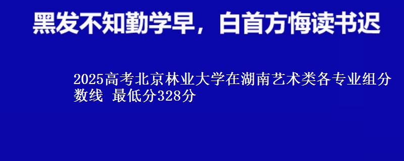2025高考北京林業(yè)大學(xué)在湖南藝術(shù)類各專業(yè)組分?jǐn)?shù)線 最低分328分