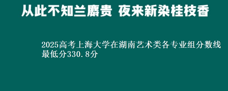 2025高考上海大學(xué)在湖南藝術(shù)類各專業(yè)組分?jǐn)?shù)線 最低分330.8分