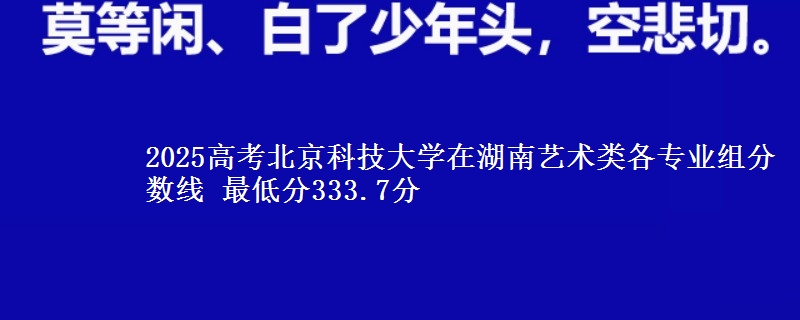 2025高考北京科技大學(xué)在湖南藝術(shù)類各專業(yè)組分?jǐn)?shù)線 最低分333.7分