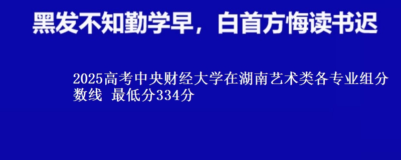 2025高考中央財(cái)經(jīng)大學(xué)在湖南藝術(shù)類各專業(yè)組分?jǐn)?shù)線 最低分334分
