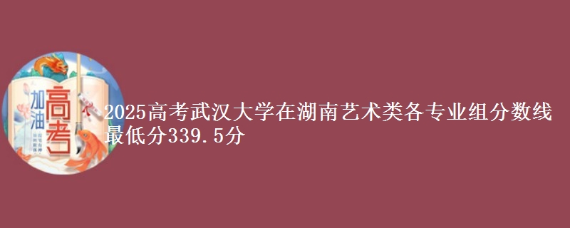 2025高考武漢大學(xué)在湖南藝術(shù)類各專業(yè)組分?jǐn)?shù)線 最低分339.5分