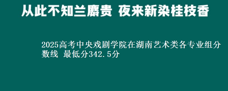 2025高考中央戲劇學(xué)院在湖南藝術(shù)類各專業(yè)組分?jǐn)?shù)線 最低分342.5分