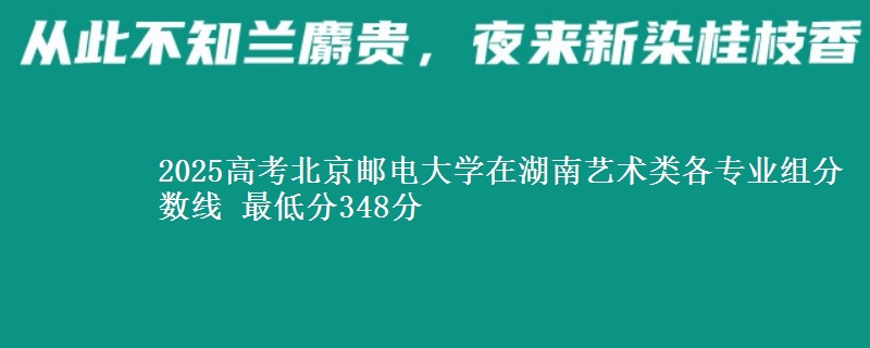 2025高考北京郵電大學(xué)在湖南藝術(shù)類各專業(yè)組分?jǐn)?shù)線 最低分348分