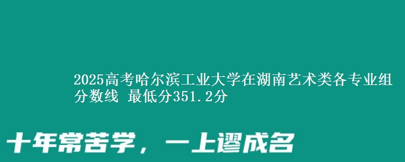 2025高考哈爾濱工業(yè)大學(xué)在湖南藝術(shù)類各專業(yè)組分?jǐn)?shù)線 最低分351.2分