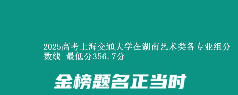 2025高考上海交通大學(xué)在湖南藝術(shù)類各專業(yè)組分?jǐn)?shù)線 最低分356.7分