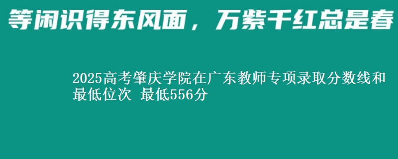 2025高考肇慶學(xué)院在廣東教師專項(xiàng)錄取分?jǐn)?shù)線和最低位次 最低556分