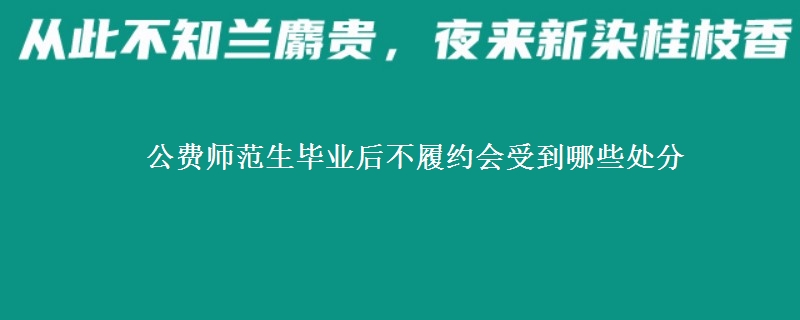 公費(fèi)師范生畢業(yè)后不履約會(huì)受到哪些處分
