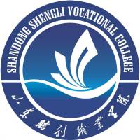 山東勝利職業(yè)學院2024春季高考單招分數(shù)線