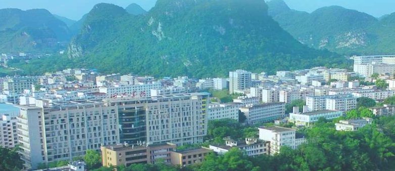 2024河池學(xué)院錄取分?jǐn)?shù)線(含2022-2024歷年分?jǐn)?shù)位次)